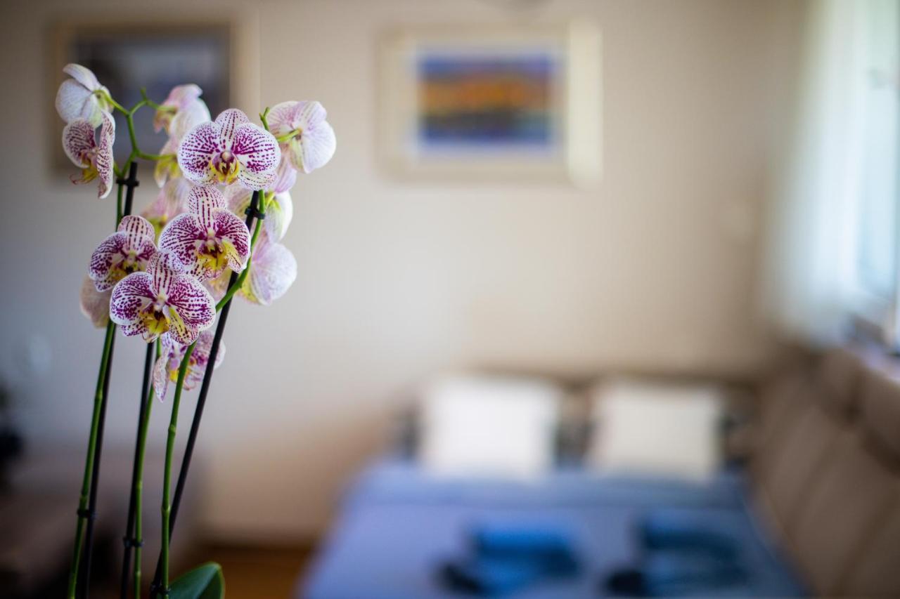 Mia Leona Apartman Split Kültér fotó